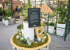 Pick me  concept of Gasa.